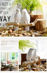 Beautiful Bird Hanger