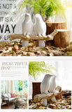 Beautiful Bird Hanger