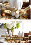 Beautiful Bird Hanger