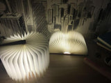 Smart folding light